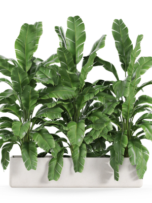 plants-collection-960-3d-model-be7034f008