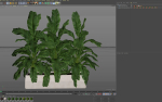 Plants collection 960