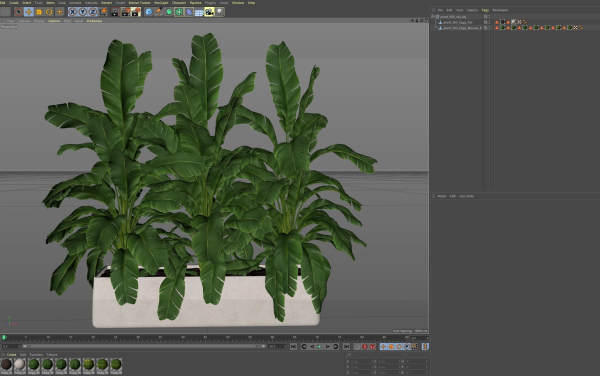 Plants collection 960