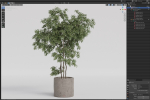 Plants collection 964