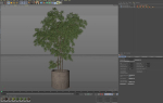 Plants collection 964