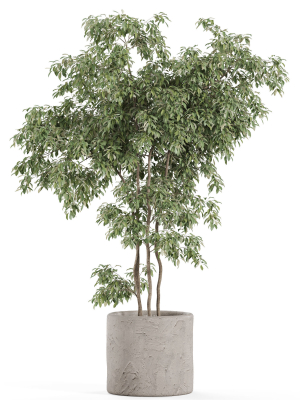 plants-collection-964-3d-model-ce3d851c64
