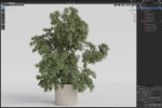 Plants collection 965