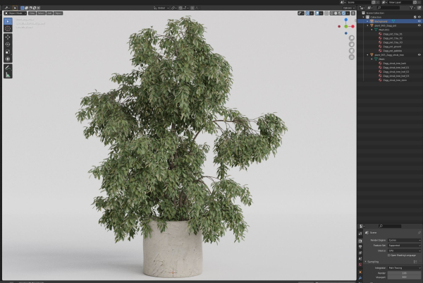Plants collection 965