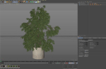Plants collection 965