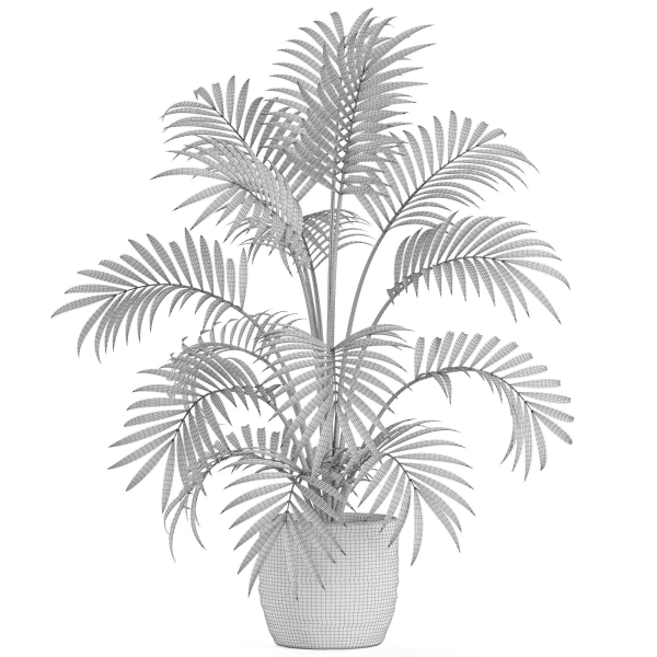 Plants collection 966