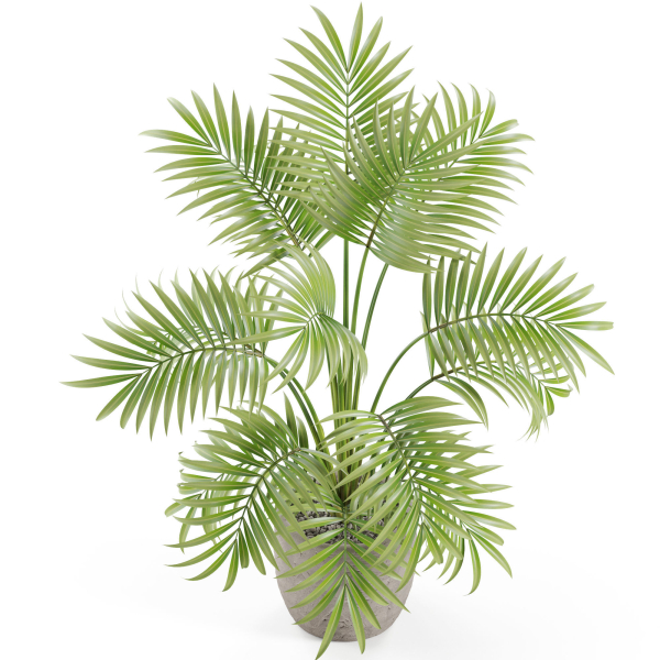 Plants collection 966