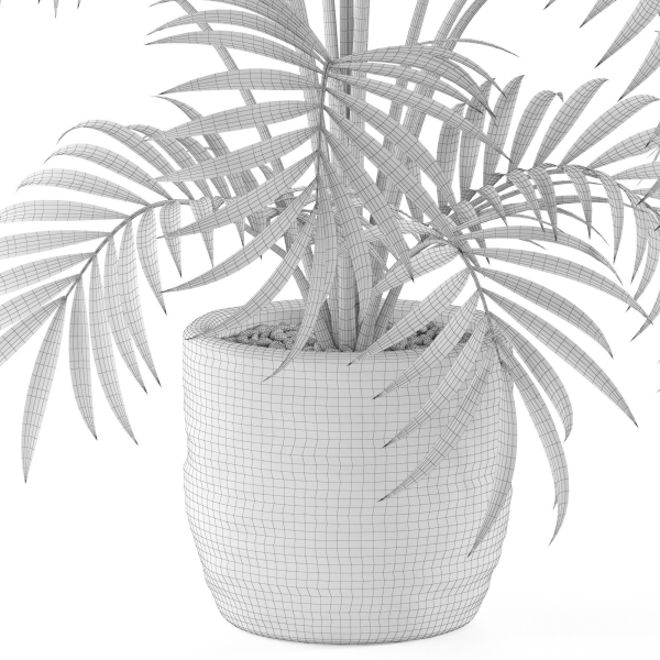 Plants collection 966