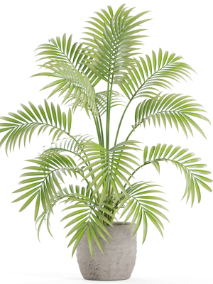 plants-collection-966-3d-model-dab05fe2f5