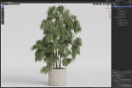 Plants collection 967