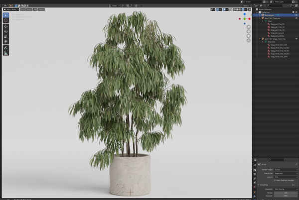 Plants collection 967