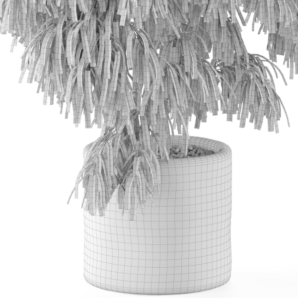 Plants collection 967