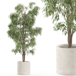 Plants collection 970
