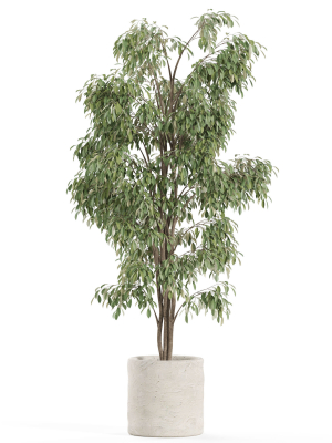 plants-collection-970-3d-model-29d2bc066b