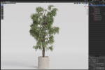 Plants collection 970