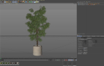 Plants collection 970