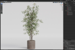 Plants collection 978