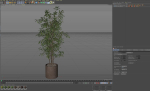 Plants collection 978