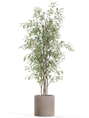 plants-collection-978-3d-model-e48762faac