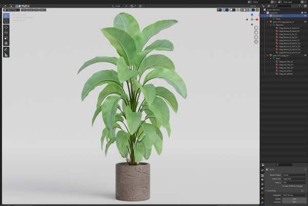 Plants collection 979