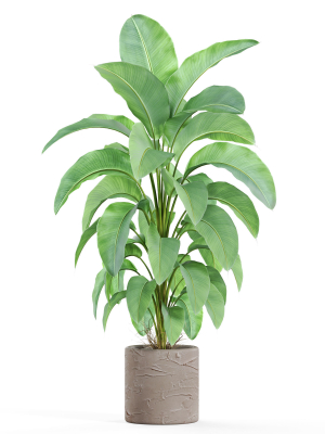 plants-collection-979-3d-model-8ea90b49d2