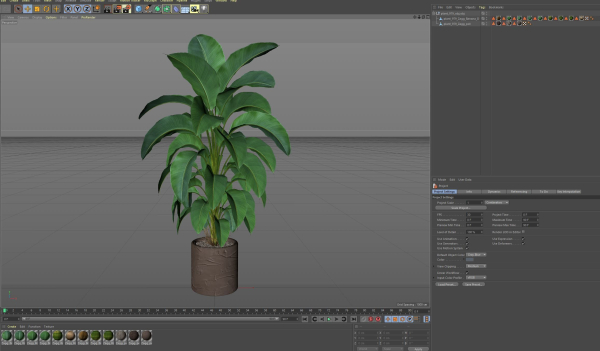Plants collection 979