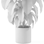 Plants collection 979