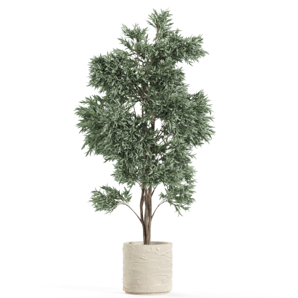 Plants collection 980