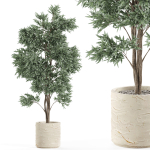 Plants collection 980