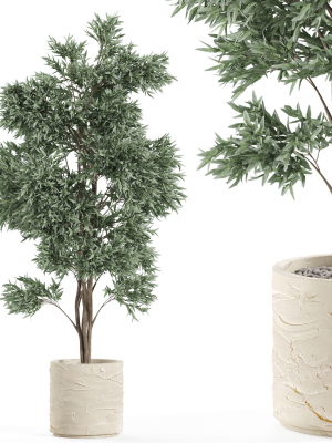 Plants collection 980
