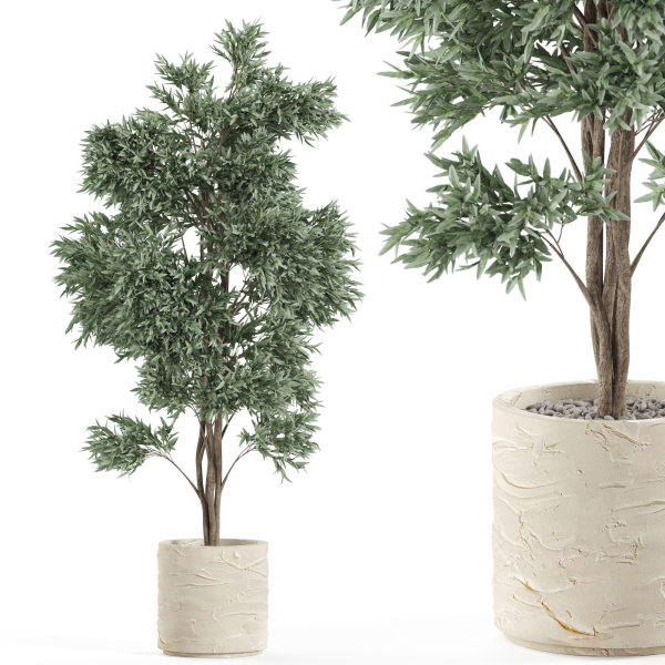 Plants collection 980