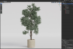 Plants collection 980