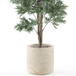 Plants collection 980
