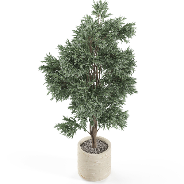 Plants collection 980