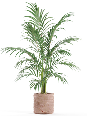 plants-collection-986-3d-model-3b8b206836
