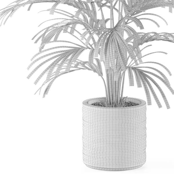 Plants collection 986