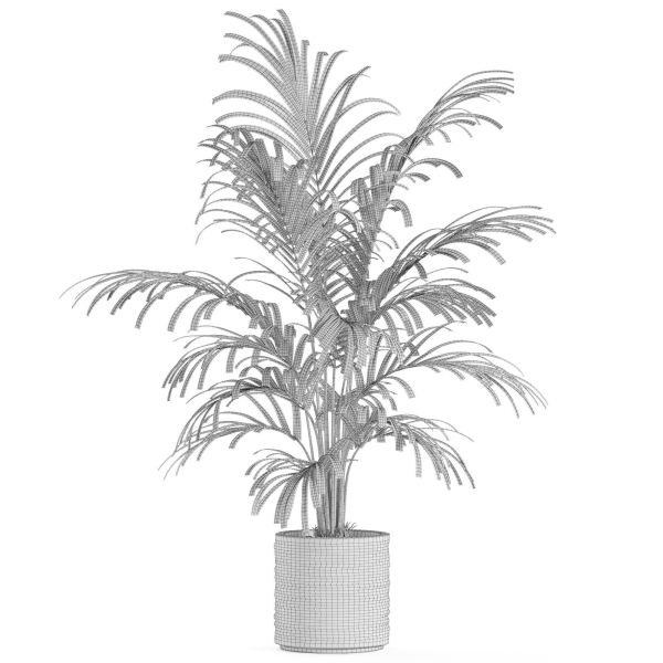 Plants collection 986