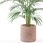 Plants collection 986