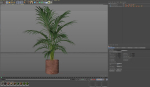 Plants collection 986