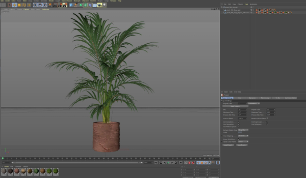Plants collection 986