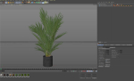 Plants collection 987