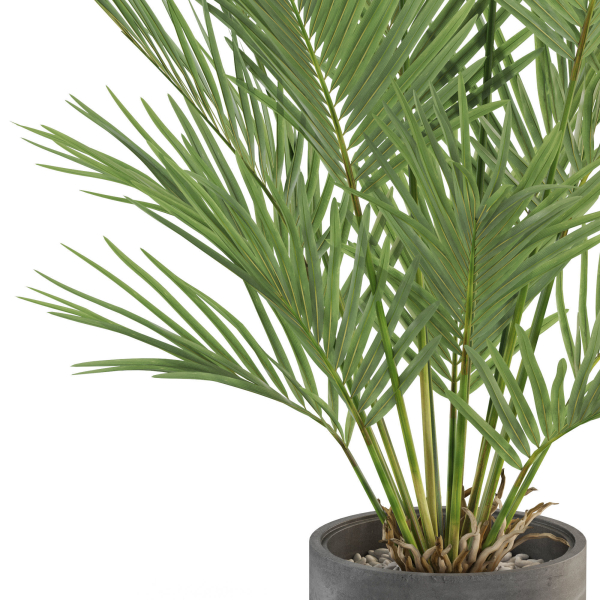 Plants collection 987