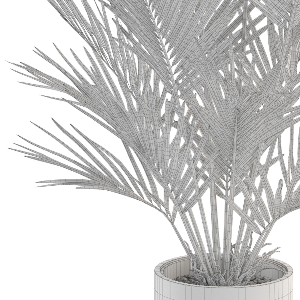 Plants collection 987