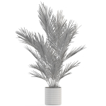 Plants collection 987