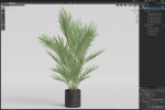 Plants collection 987