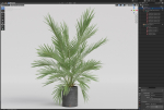 Plants collection 988