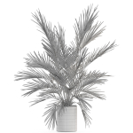 Plants collection 988