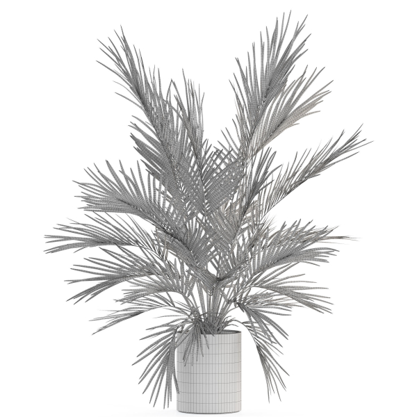 Plants collection 988