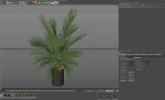 Plants collection 988