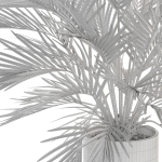 Plants collection 988